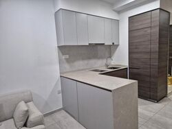 The Florence Residences (D19), Apartment #513551411